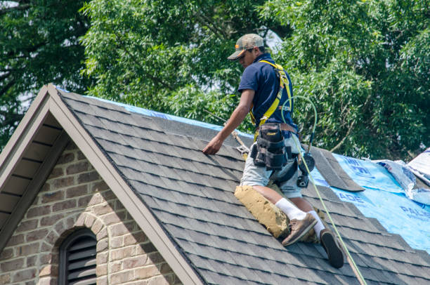 Best Metal Roofing Contractor  in Dupont, WA