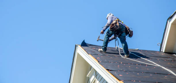 Best Roof Gutter Cleaning  in Dupont, WA